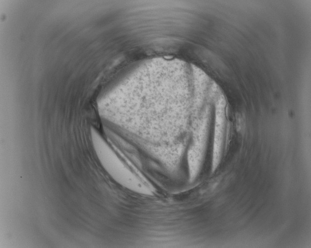 X0000076300915200610271910