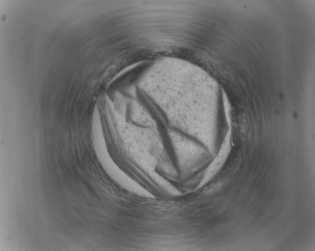 X0000076300916200610271910