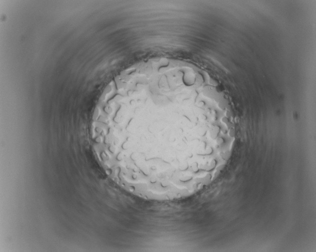 X0000076300917200610271910