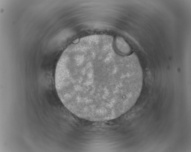 X0000076300918200610271910