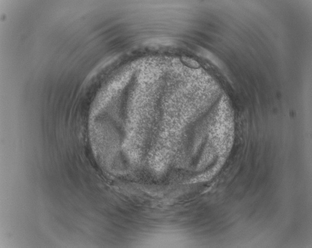 X0000076300919200610271910