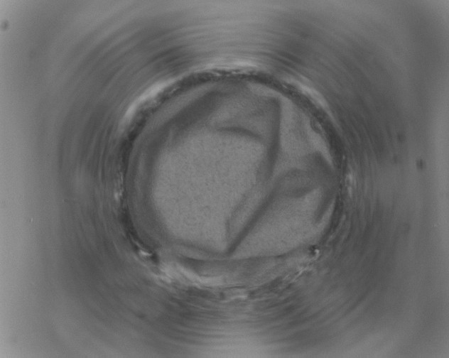 X0000076300920200610271910