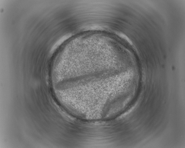 X0000076300922200610271910