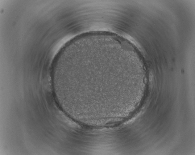 X0000076300926200610271910