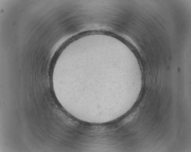 X0000076300927200610271910