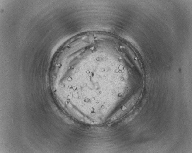 X0000076300928200610271910