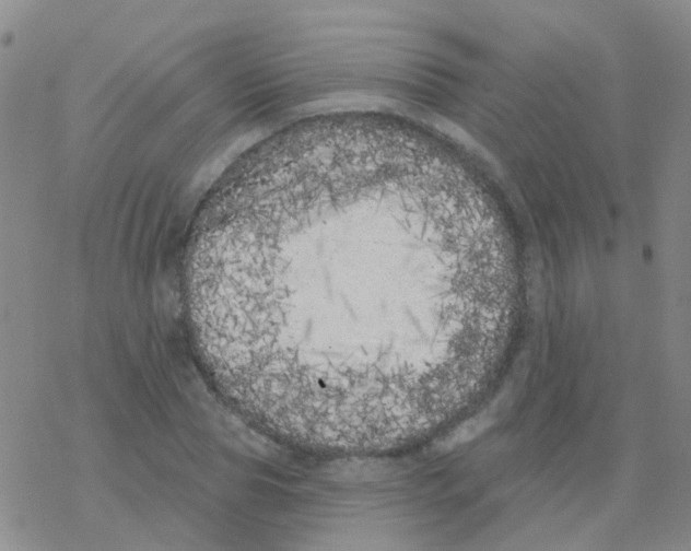 X0000076300929200610271910