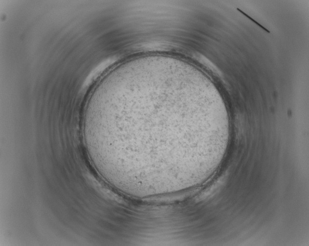 X0000076300930200610271910