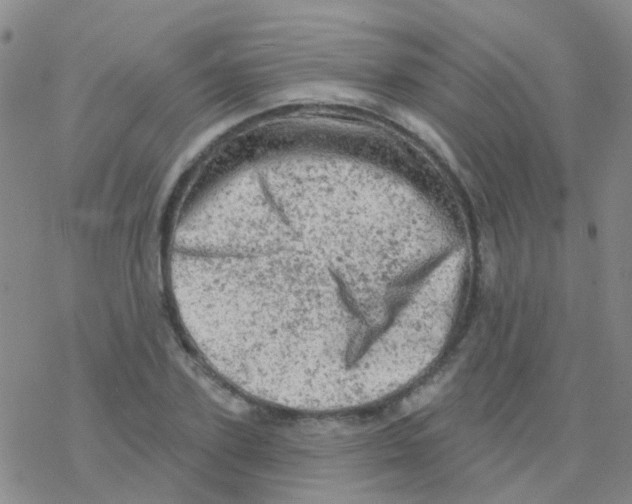 X0000076300931200610271910