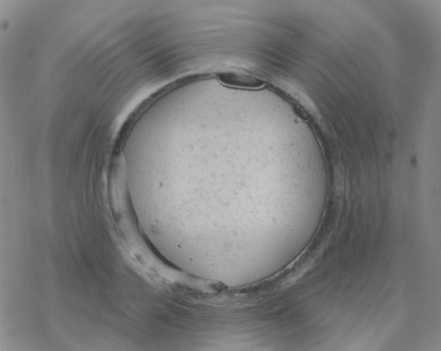 X0000076300936200610271910