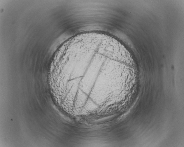 X0000076300937200610271910