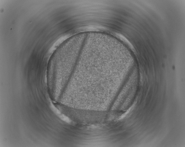 X0000076300938200610271910