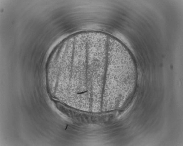 X0000076300939200610271911