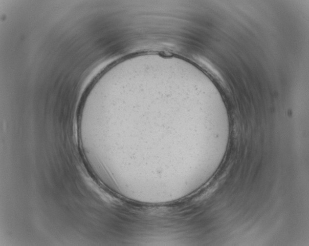 X0000076300940200610271911