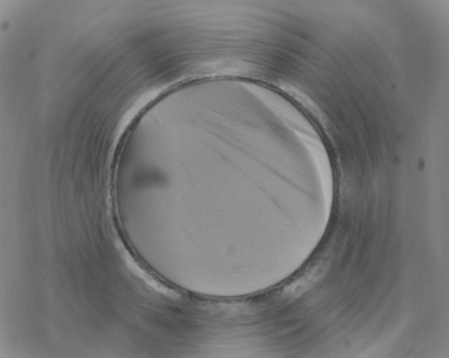 X0000076300941200610271911