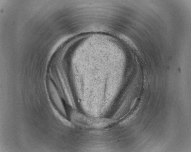 X0000076300942200610271911