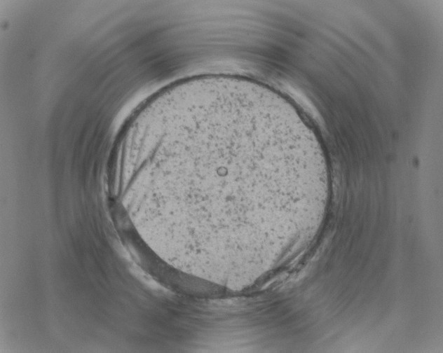 X0000076300944200610271911