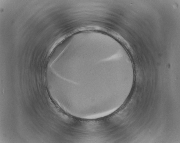 X0000076300945200610271911