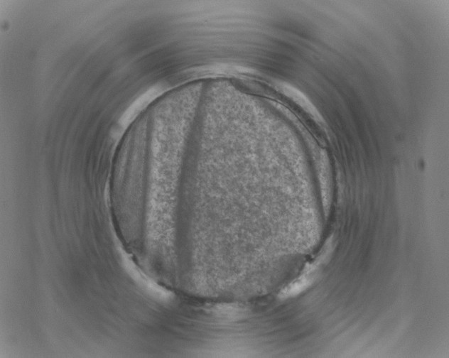 X0000076300946200610271911