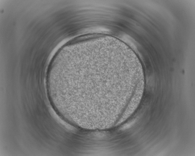 X0000076300947200610271911