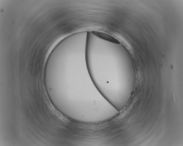 X0000076300948200610271911