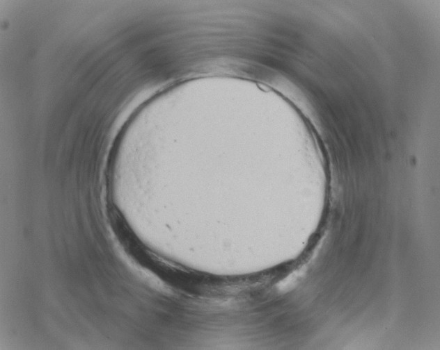 X0000076300949200610271911