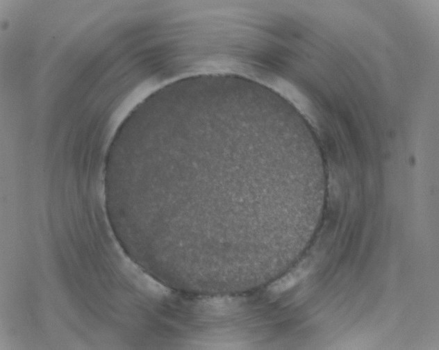 X0000076300950200610271911