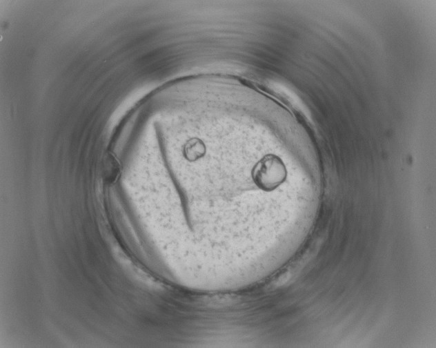 X0000076300952200610271911