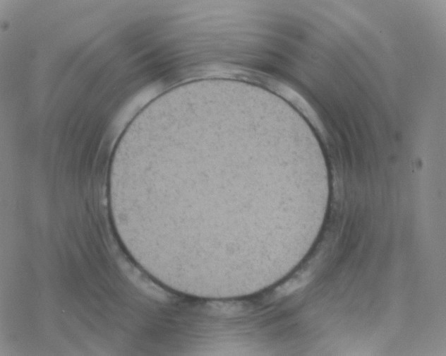 X0000076300954200610271911