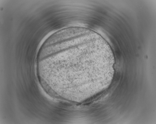 X0000076300955200610271911