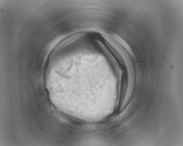 X0000076300956200610271911