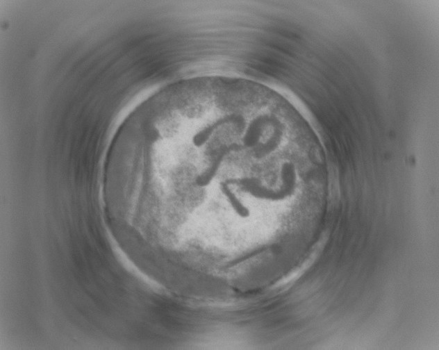 X0000076300957200610271911