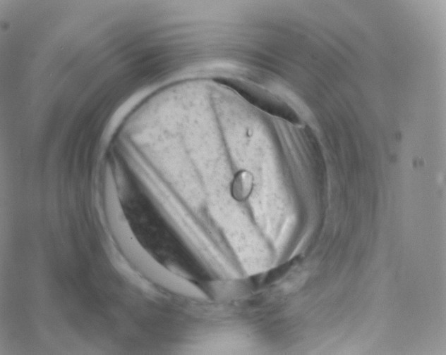 X0000076300960200610271911