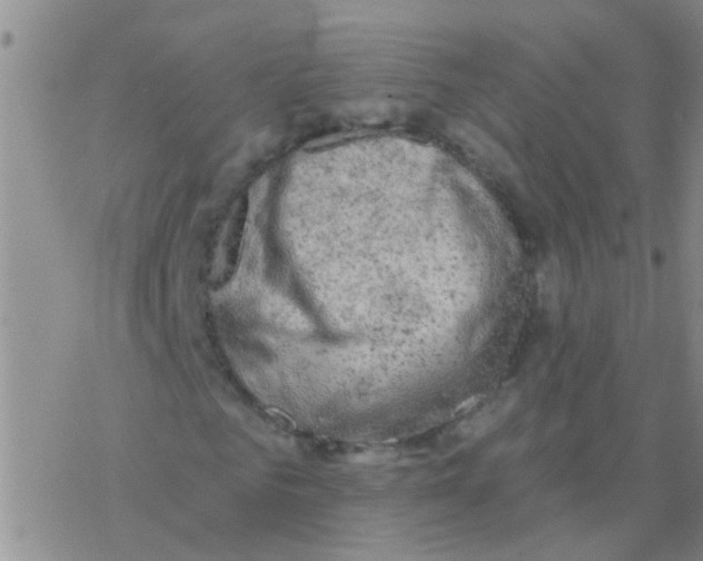 X0000076300961200610271910