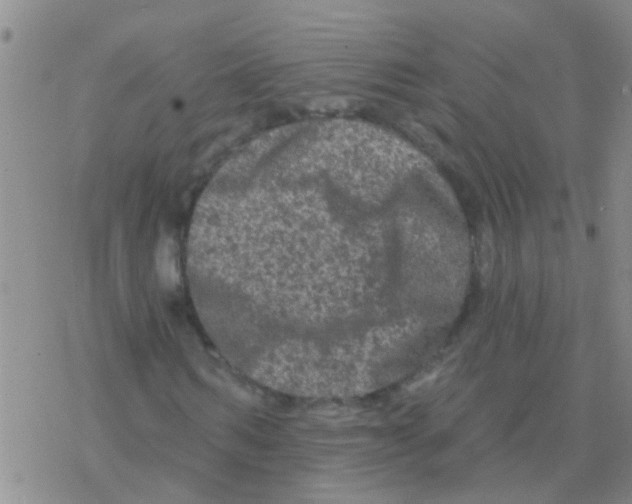 X0000076300962200610271910