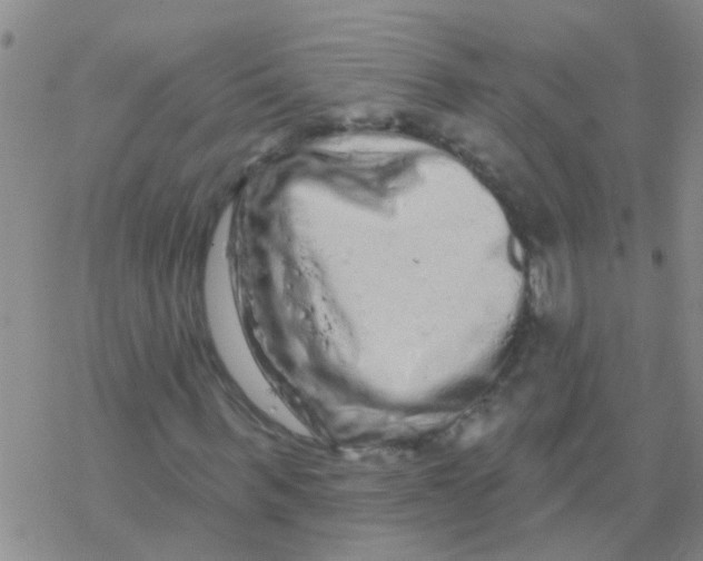 X0000076300963200610271910