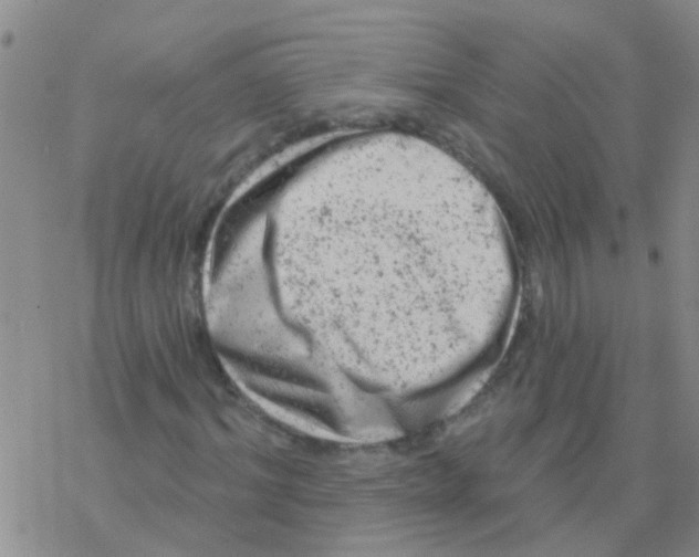 X0000076300964200610271910