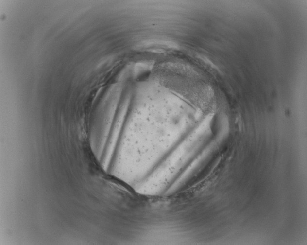 X0000076300965200610271910