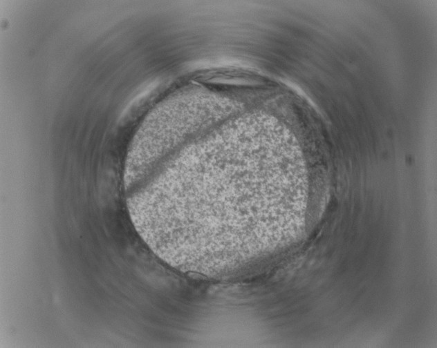 X0000076300967200610271910