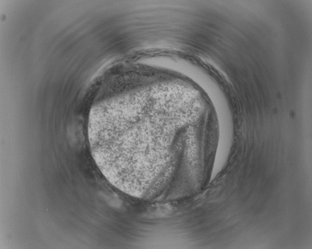 X0000076300968200610271910