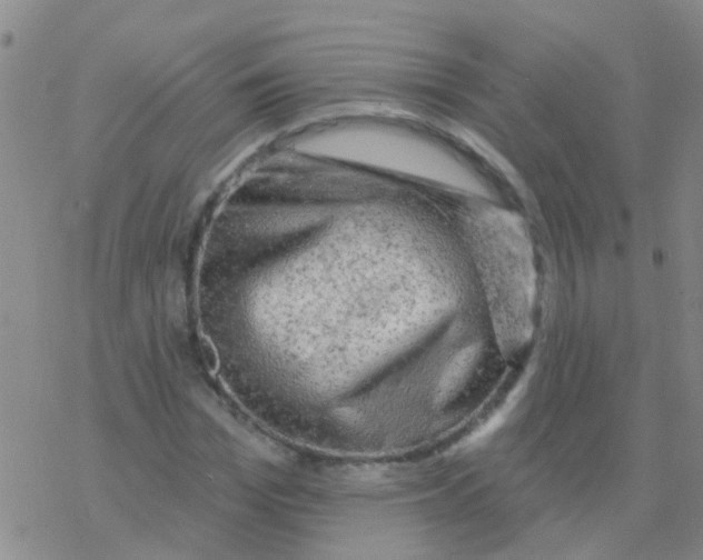 X0000076300969200610271910