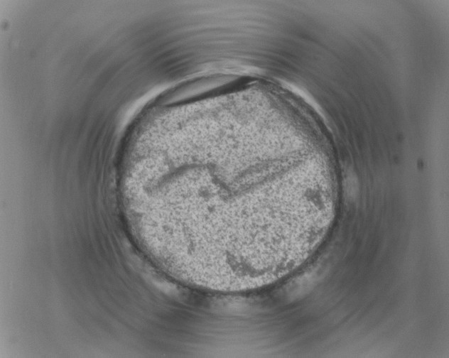 X0000076300971200610271910