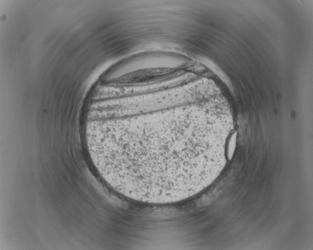 X0000076300972200610271910