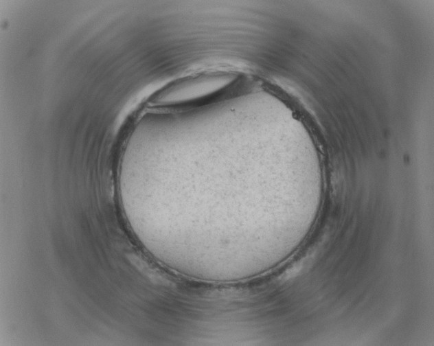 X0000076300973200610271910