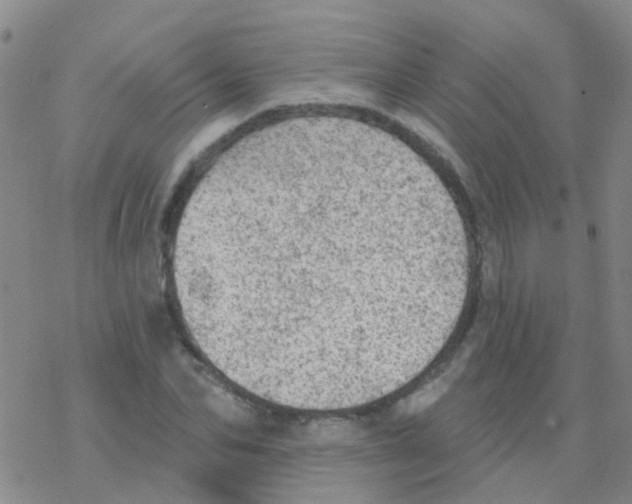 X0000076300974200610271910