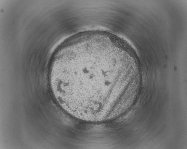 X0000076300975200610271910