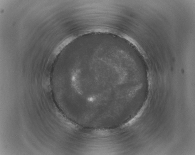 X0000076300977200610271910