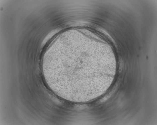 X0000076300978200610271910