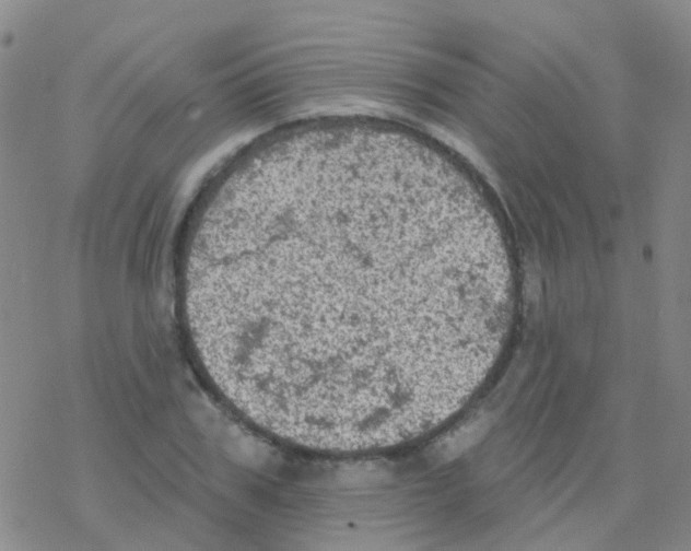 X0000076300979200610271910