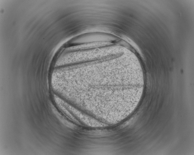 X0000076300980200610271910